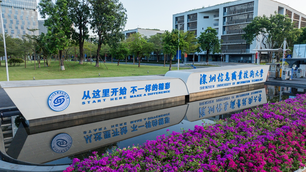 弘扬体育精神-培养高素质体育技能人才
